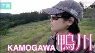 【千葉旅：Trip to Kamogawa, Chiba, Japan】鴨川の見どころを観光！#japan #travel #vlog