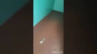 тайное место под школой