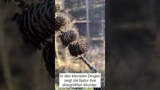 In der Ruhe liegt die Kraft