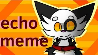 Echo|meme