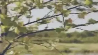 СВЯТАЯ РУСЬ БРАТЬЯМ-СЛАВЯНАМ