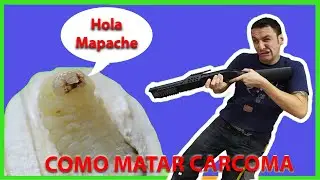 ⚠️ATENCIÓN! No metas MADERA en Tu CASA SIN VER ESTO!