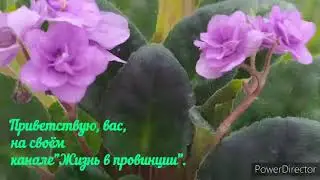 Весна. Снова огород. 🥰