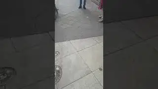 طوشه وكلام رضي