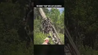 The Soviet 