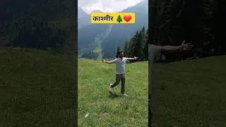 कश्मीर दृश्य 🌲❤️ Crpf HCM 🔥#hcm #capf #crpf #kashmir #scene #hcm #pahalgam #srinagar