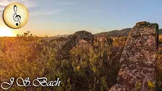 Ruined Ancient Chapel in the Countryside at Sunset 🏛 Just Instrumental Music Short Video