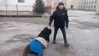 Отрывок из фильма "ГИНКОНГ"