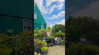 Day trip to  Zaanse Schans, Netherlands 🇳🇱