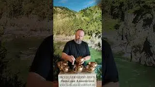 Полное видео сеанса смотрите на моих ВК и Ютуб каналах #виталийалтайский