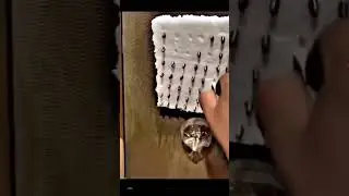 hxdyuf jxyy kudud yeyeu fdvnf hfdb 🤣🤣🤣🤣😉🤣🤣🤣