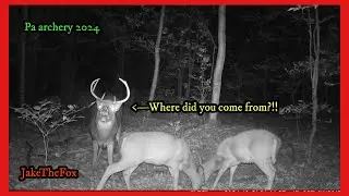 Pa Archery, Rack Or Bust!