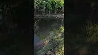 Essa era maior