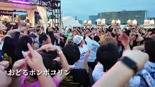 【肉フェス 2024】「おどるポンポコリン」-  B.B.クイーンズ【オタ芸】アニメ「ちびまる子ちゃん」 OP やぐら DJ OHASHIDISCO お台場 Meat Fes #俺庭