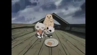 Кошачий суп