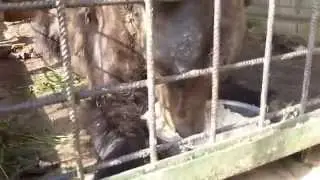 Тоня и Маша