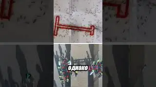 Суперсила муравьёв: Могут ли муравьи поднять человека? 🐜🔍❗