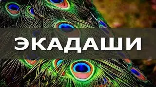 Что такое экадаши. Вся правда об Экадаши. Экадаши что это такое и почему это важно? Аннада