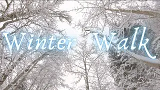 Virtual Winter Walk Unterschächen SWIZTERLAND Snow Forest HAPPINESS