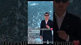 Gallaoroliklar goo
