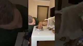 Новый способ воспитания🥸 