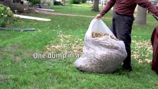 Transform your mower into a lawn & leaf vacuum! - Big Leaf Bag
