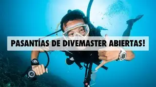 Ven a formarte como Divemaster en Panama Dive Adventure!!!