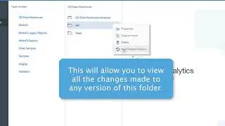 Versioning all Properties of Cognos Objects