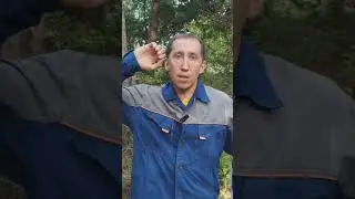 Охота на кабана не удалась.
