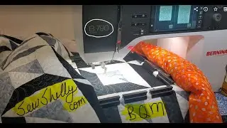 790 Pro BQM quilting in the hoop