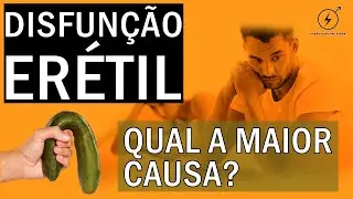 Disfunção erétil. Qual a maior causa? -  Como recuperar a potência?