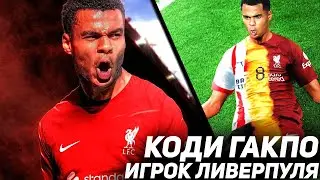 КОДИ ГАКПО НОВЫЙ ИГРОК ЛИВЕРПУЛЯ! Подробности перехода / ТРАНСФЕРЫ 2023