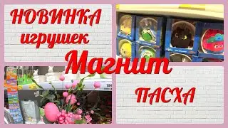 ОБЗОР : НОВИНКА  «Игрушки в Кружках 2» в МАГНИТЕ/ всё для ПАСХИ