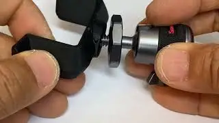 Sugar glider Stand + Ball head
