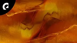 Ava Low - Butter or Jelly