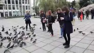 Dominion кормит голубей (1)