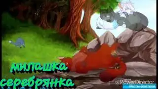 синяя звезда и желудь  заказ ,Коты Воители'😊😊😊