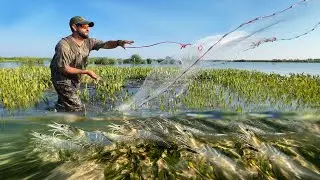 2 Days in a WILD River Delta - Shrimping, Crabbing, and Fishing
