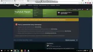 Steam Profile Nasıl Türk Bayragı Yapılır Sesli