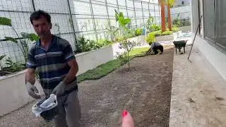 МИ ЗНОВУ НА ОБА