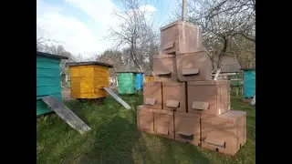 УлеёК - картонный улей для перевозки и содержания пчёл; дешёвая ловушка для бродячих роёв