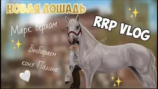 RRP VLOG|STAR STABLE|КОНОБЛОГ|НОВАЯ ЛОШАДЬ