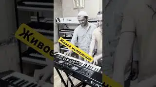 Живое исполнение 