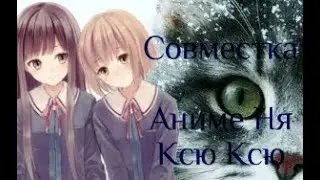 Дорога сна (Совместка Ксю Ксю)