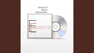 Sounds of Nature Instrumental - Essence