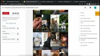 Awwvision: Cloud Vision API from a Kubernetes Cluster | GSP066
