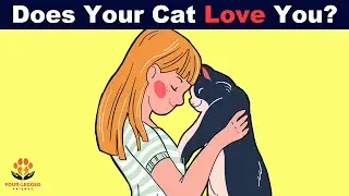 10 Methods To Find Out If Your Cat Loves You
