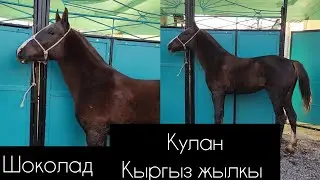 Сатылды.
