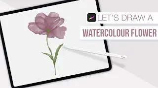 How to Draw a Watercolour Flower in Procreate
