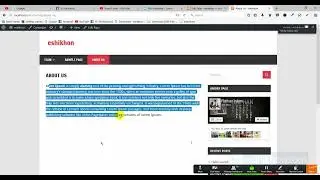 Wordpress website design. 